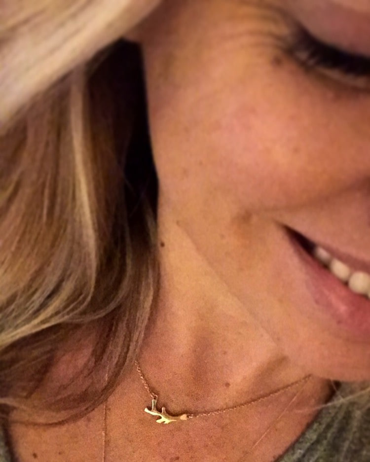 Coral Horizon Necklace • sterling silver
