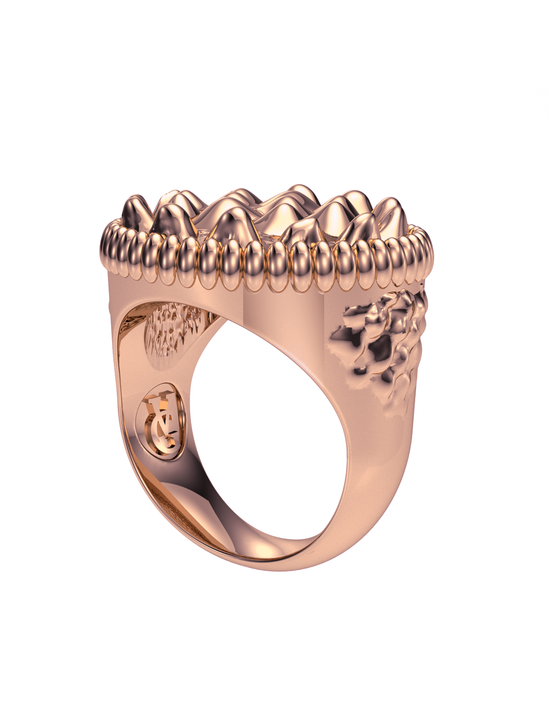 Load image into Gallery viewer, Iguana Crown Ring 14k Gold