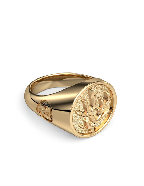 Coral Signet Ring 14k Gold