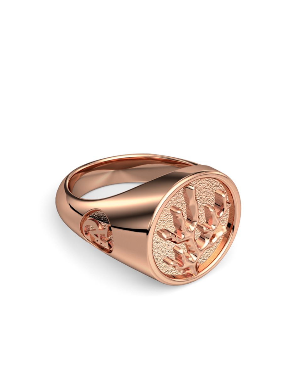 Coral Signet Ring 14k Gold