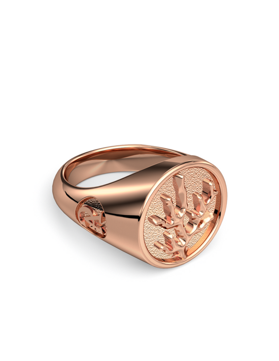 Load image into Gallery viewer, Coral Signet Ring 14k Gold