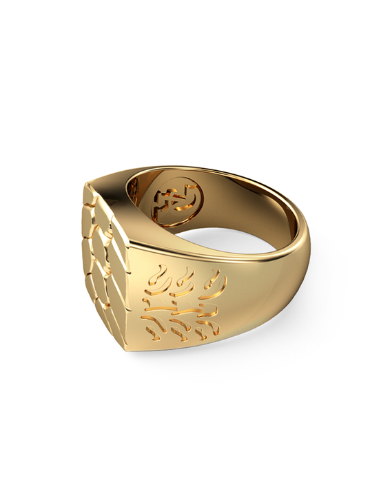 Ridley Sea Turtle Ring 14k Gold – VARGAS GOTEO JEWELRY