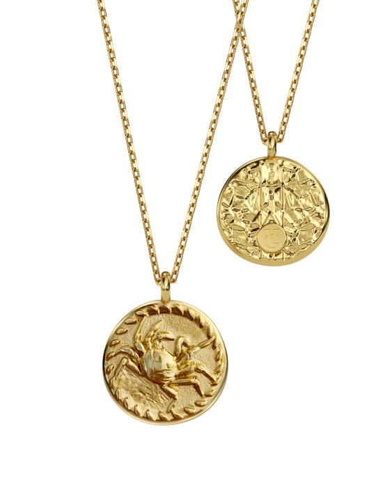 Load image into Gallery viewer, WATER • 14k Gold Animal Kingdom Amulets
