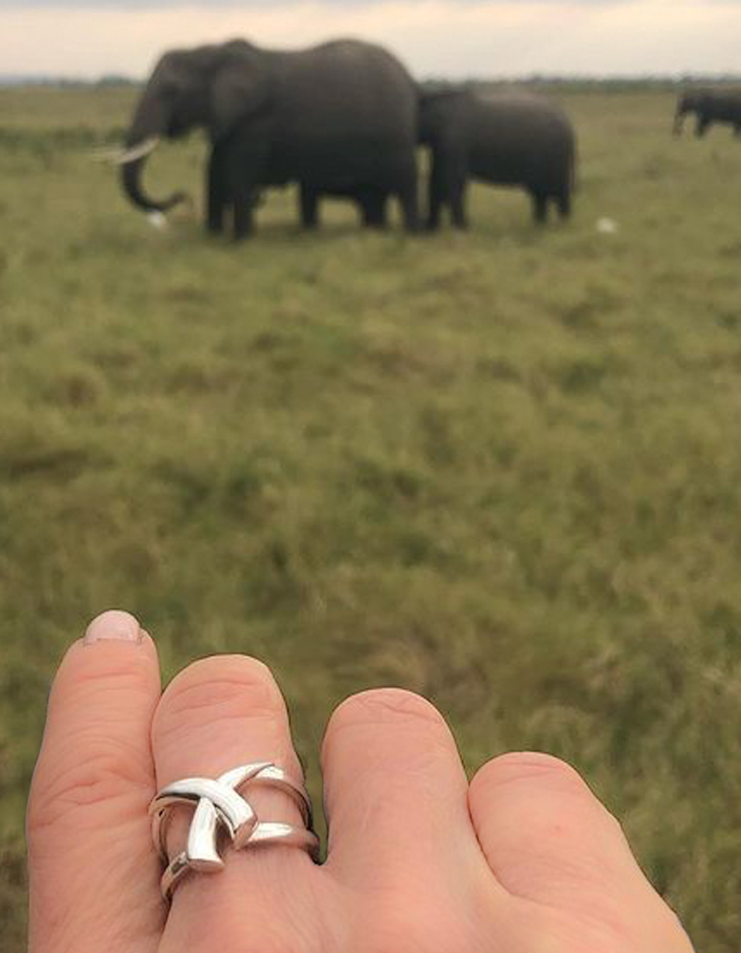 Crossed Tusk Ring